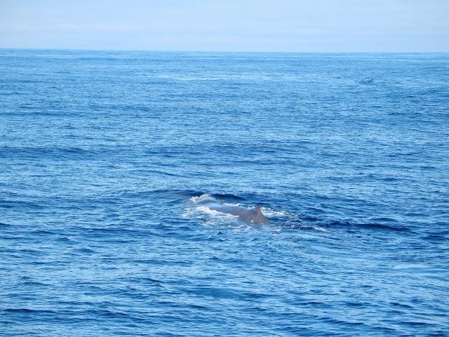 Urlaub in Norwegen 2006